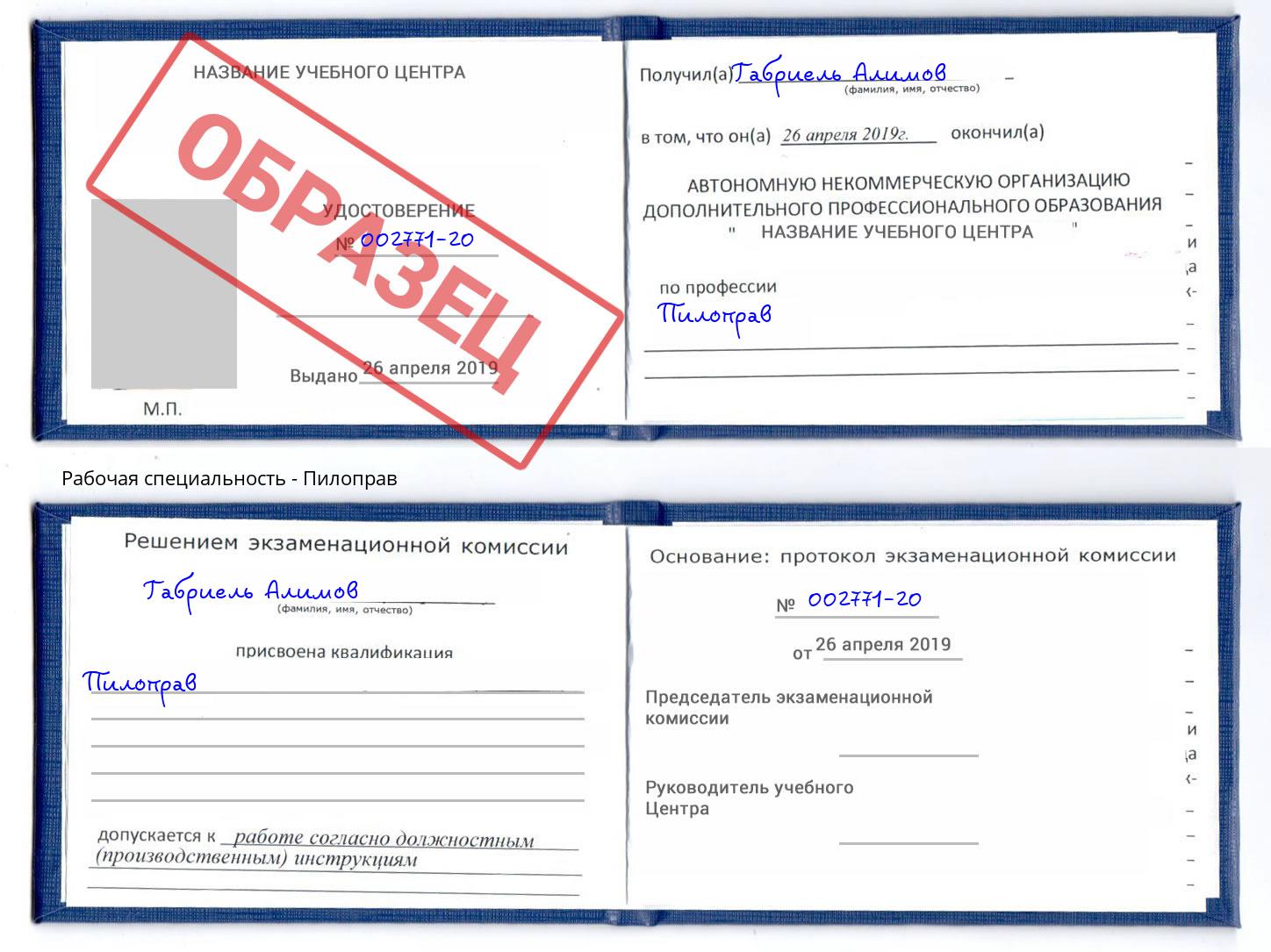 Пилоправ Искитим