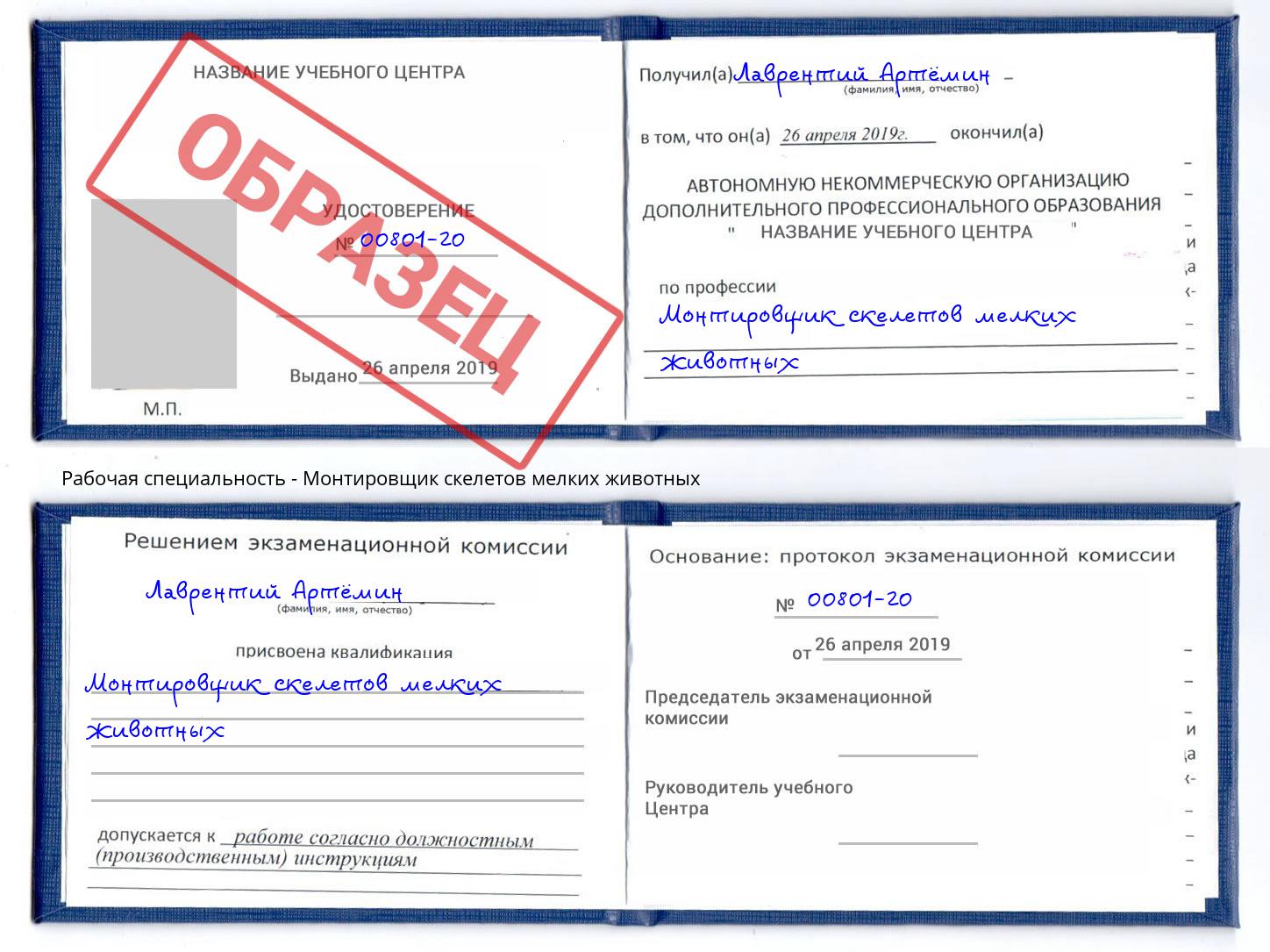 Монтировщик скелетов мелких животных Искитим